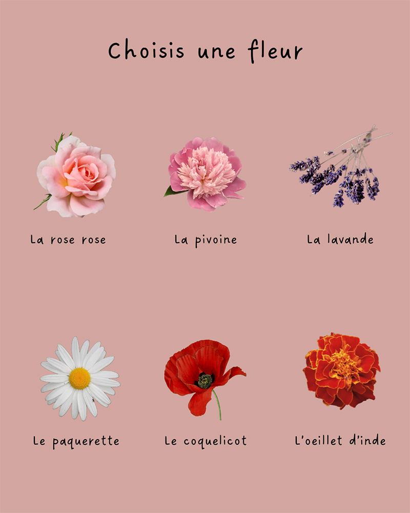 choisis une fleur : la rose rose, la pivoine, la lavande, la pâquerette, le coquelicot, l'oeillet d'inde